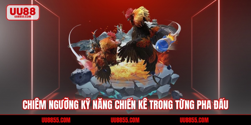 Chiêm ngưỡng kỹ năng chiến kê trong từng pha đấu
