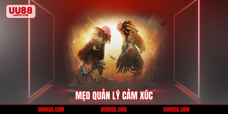 Mẹo quản lý cảm xúc