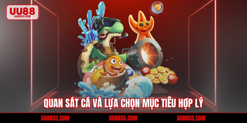 Quan sát cá và lựa chọn mục tiêu hợp lý