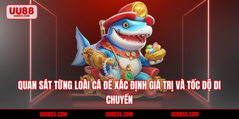 Quan sát từng loài cá để xác định giá trị và tốc độ di chuyển