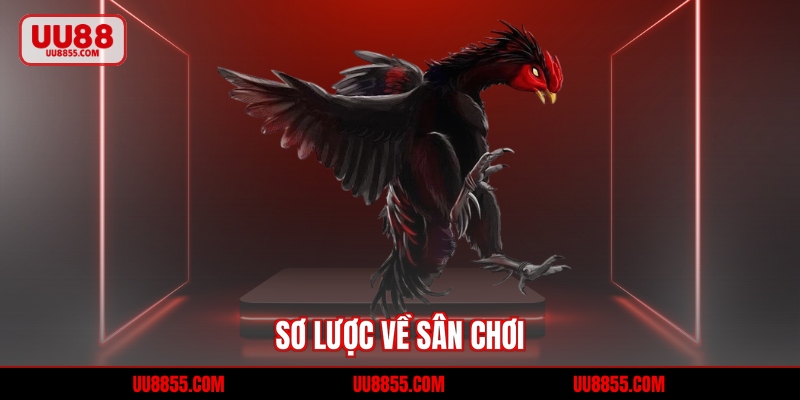 Sơ lược về sân chơi