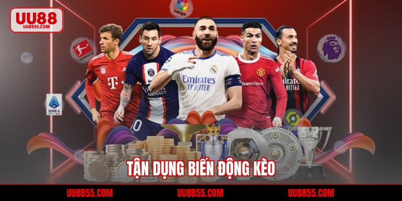 Tận dụng biến động kèo