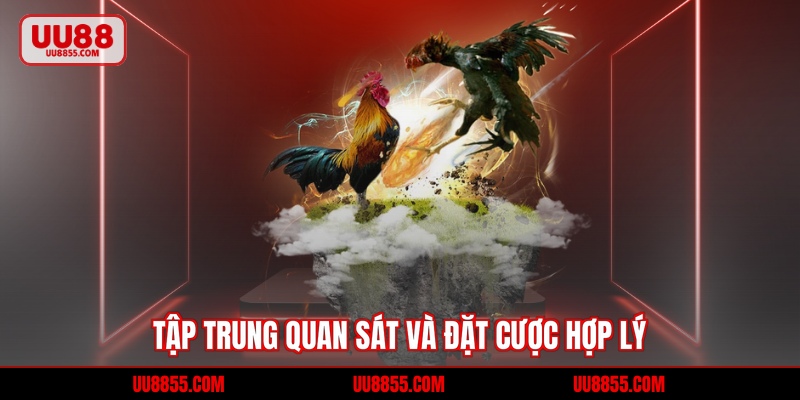 Tập trung quan sát và mẹo để đặt cược hợp lý